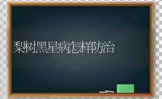 梨树黑星病怎样防治 | 瓜果种植