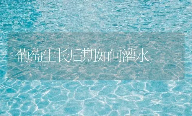 葡萄生长后期如何灌水 | 瓜果种植