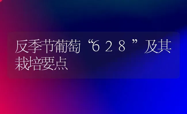 反季节葡萄“628”及其栽培要点 | 瓜果种植