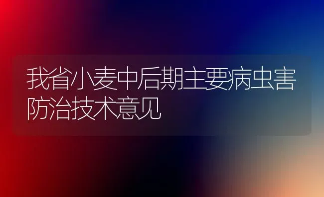 我省小麦中后期主要病虫害防治技术意见 | 粮油作物种植