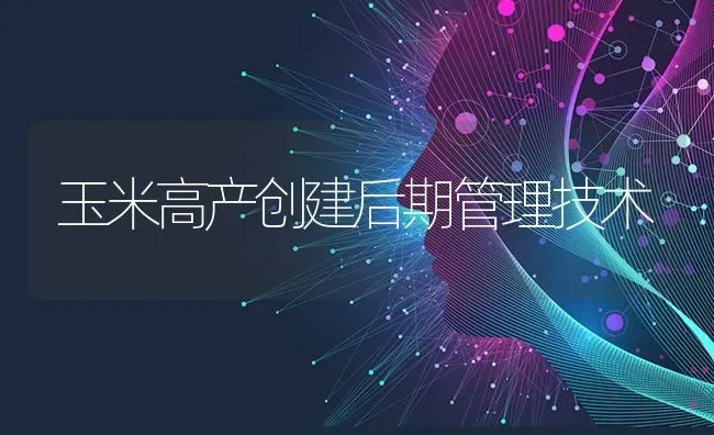 玉米高产创建后期管理技术 | 粮油作物种植