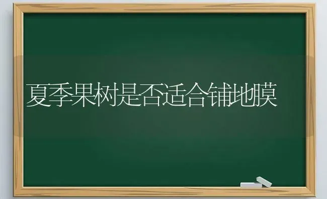 夏季果树是否适合铺地膜 | 瓜果种植