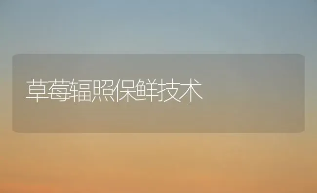 夏玉米如何进行追肥 | 粮油作物种植