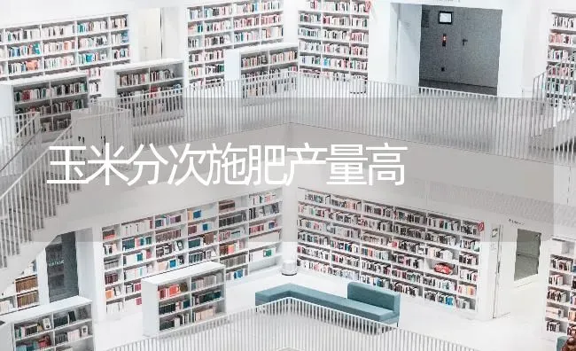 玉米分次施肥产量高 | 种植肥料施肥