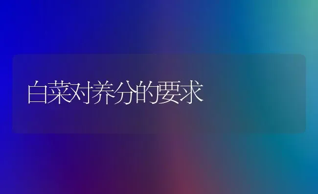 白菜对养分的要求 | 蔬菜种植