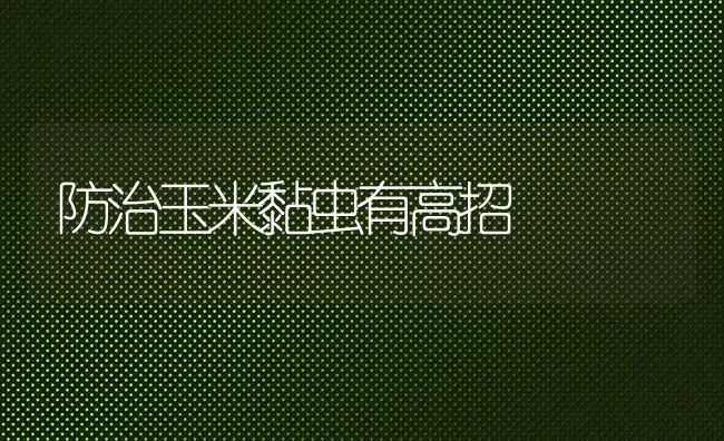 防治玉米黏虫有高招 | 粮油作物种植