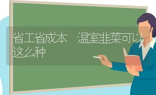 省工省成本 温室韭菜可以这么种 | 蔬菜种植