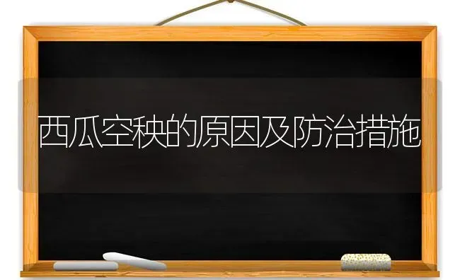 西瓜空秧的原因及防治措施 | 瓜果种植