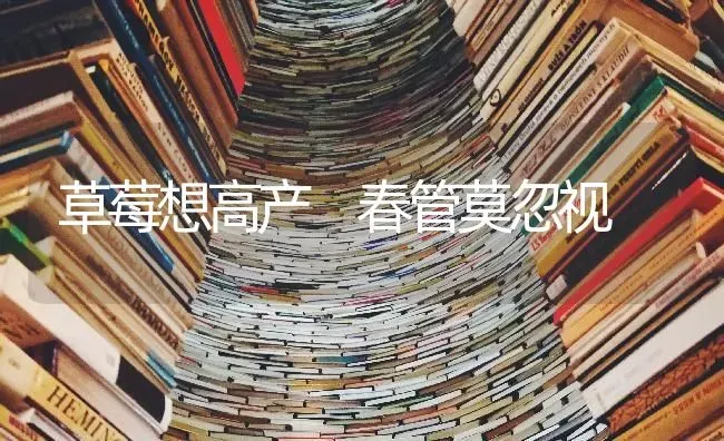 草莓想高产 春管莫忽视 | 瓜果种植