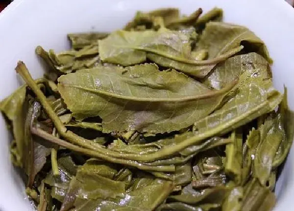 植物浇水|喝剩的茶叶可以浇花吗
