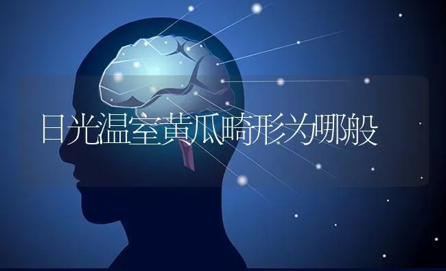 日光温室黄瓜畸形为哪般 | 蔬菜种植
