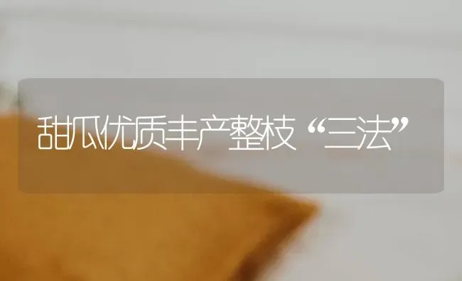 甜瓜优质丰产整枝“三法” | 瓜果种植