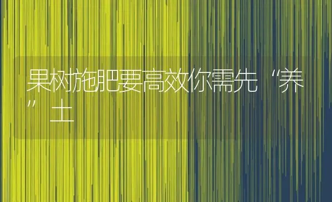 果树施肥要高效你需先“养”土 | 瓜果种植