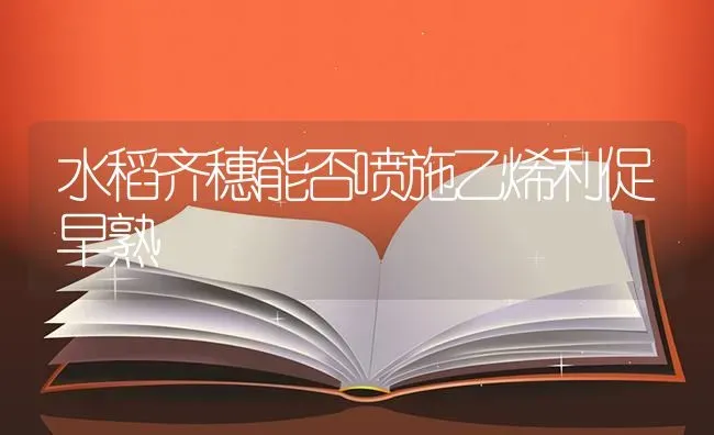 水稻齐穗能否喷施乙烯利促早熟 | 粮油作物种植