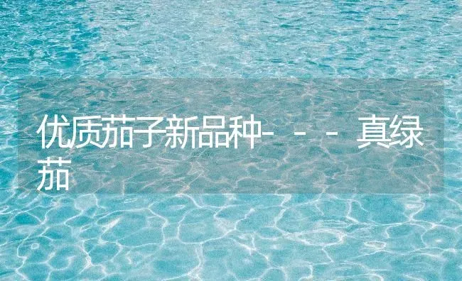 优质茄子新品种---真绿茄 | 蔬菜种植