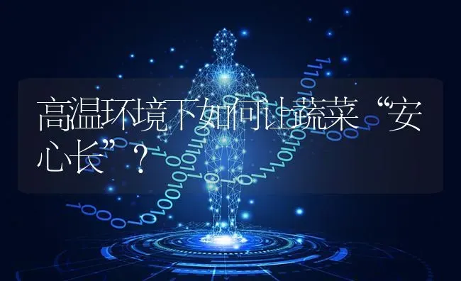 高温环境下如何让蔬菜“安心长”？ | 蔬菜种植