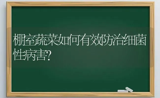 棚室蔬菜如何有效防治细菌性病害？ | 蔬菜种植