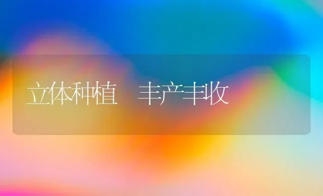 立体种植 丰产丰收 | 植物种植百科