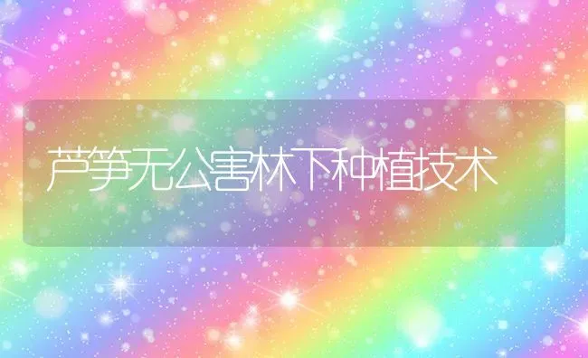 芦笋无公害林下种植技术 | 植物种植百科