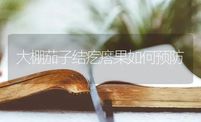 大棚茄子结疙瘩果如何预防 | 瓜果种植