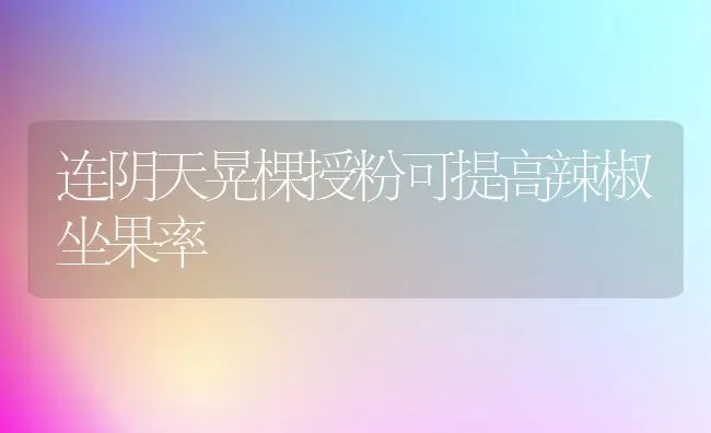 连阴天晃棵授粉可提高辣椒坐果率 | 瓜果种植