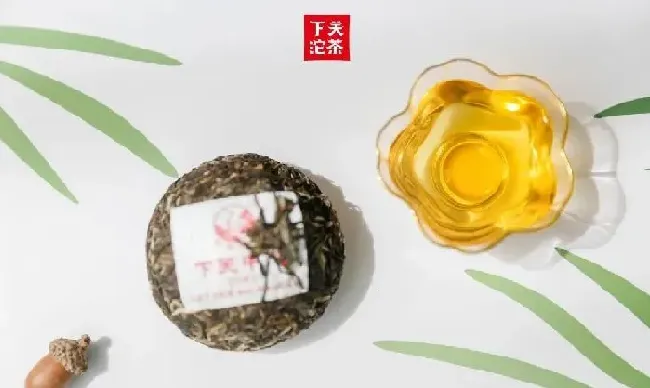 食用常识|下关沱茶属于什么茶类别系列