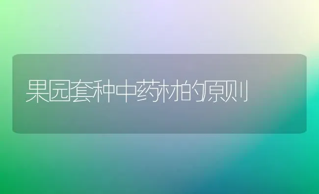 果园套种中药材的原则 | 瓜果种植