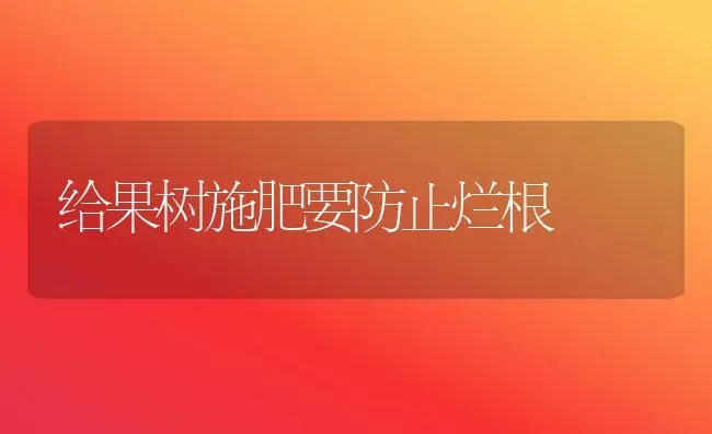 给果树施肥要防止烂根 | 瓜果种植
