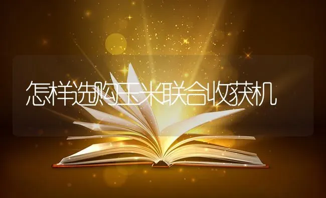 怎样选购玉米联合收获机 | 粮油作物种植