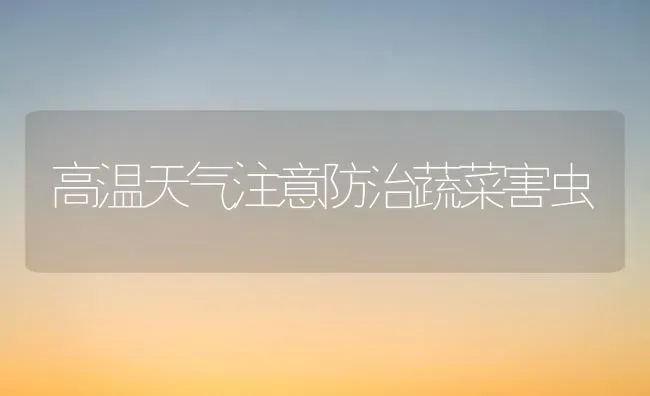 高温天气注意防治蔬菜害虫 | 蔬菜种植