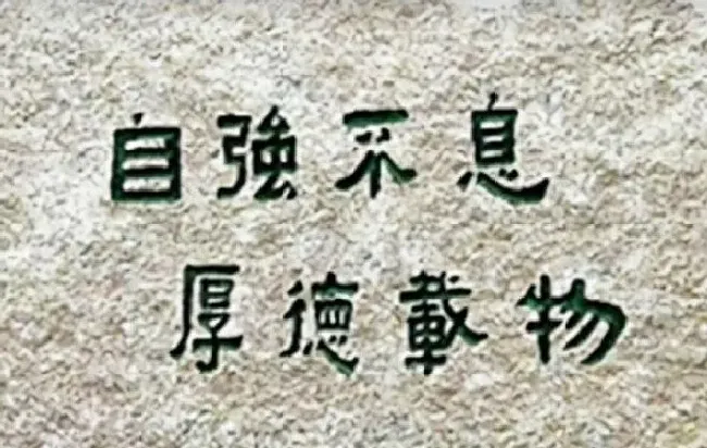 树干|清华贫困生的“树洞”刷屏  省钱资助4名孩子感动网友