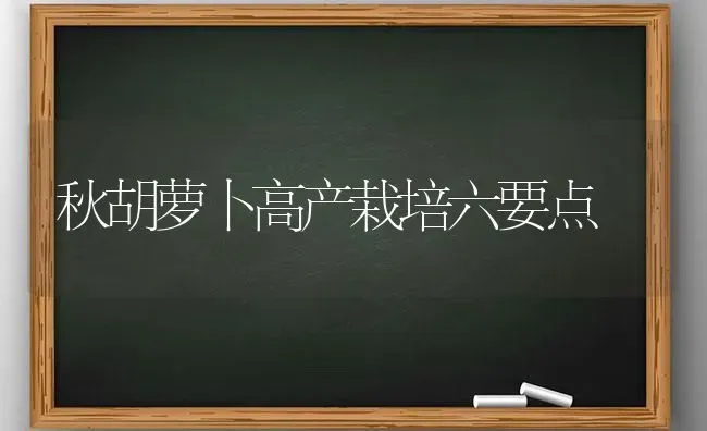 秋胡萝卜高产栽培六要点 | 蔬菜种植