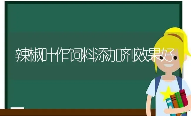 辣椒叶作饲料添加剂效果好 | 瓜果种植