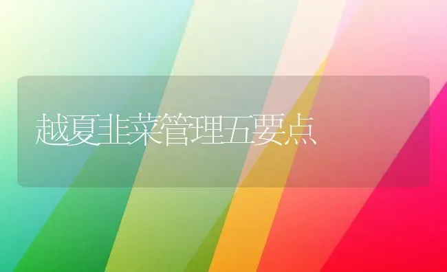 越夏韭菜管理五要点 | 蔬菜种植