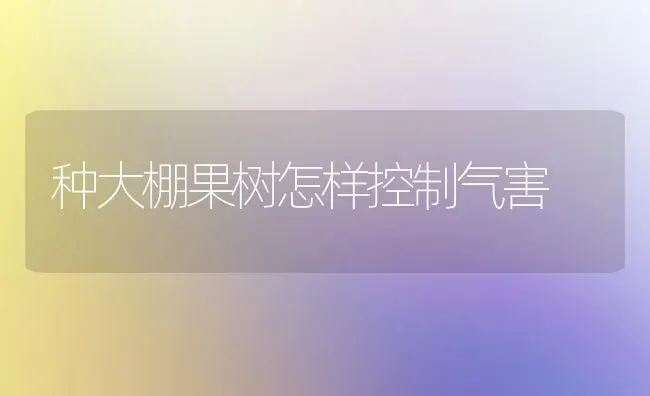 种大棚果树怎样控制气害 | 瓜果种植