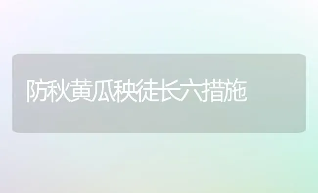 防秋黄瓜秧徒长六措施 | 蔬菜种植