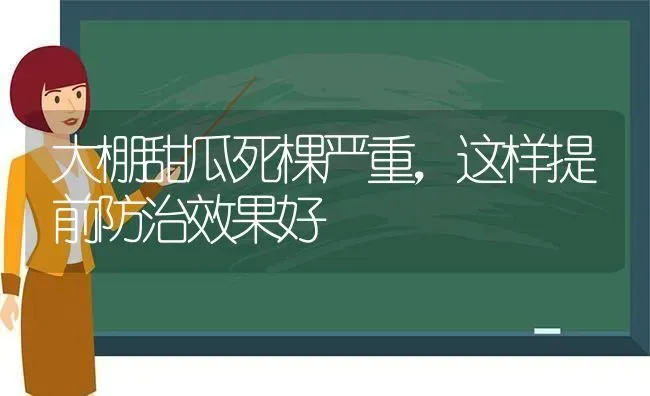 大棚甜瓜死棵严重，这样提前防治效果好 | 瓜果种植