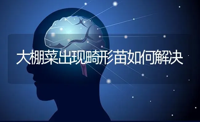 大棚菜出现畸形苗如何解决 | 蔬菜种植