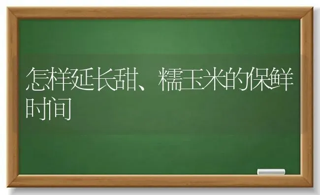 怎样延长甜、糯玉米的保鲜时间 | 粮油作物种植