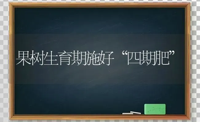 果树生育期施好“四期肥” | 瓜果种植