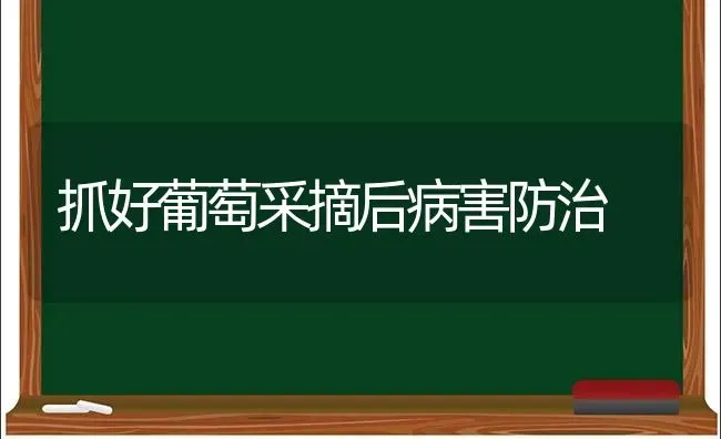 抓好葡萄采摘后病害防治 | 瓜果种植