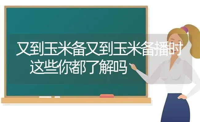 又到玉米备又到玉米备播时 这些你都了解吗 | 粮油作物种植