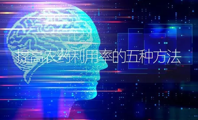提高农药利用率的五种方法 | 种植病虫害防治