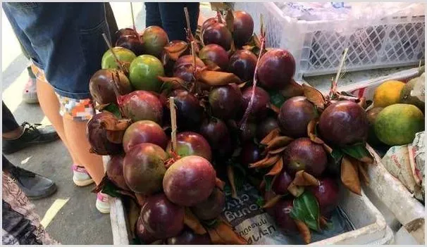 牛奶果适合什么时候种植？繁殖方式有哪些 | 自然知识