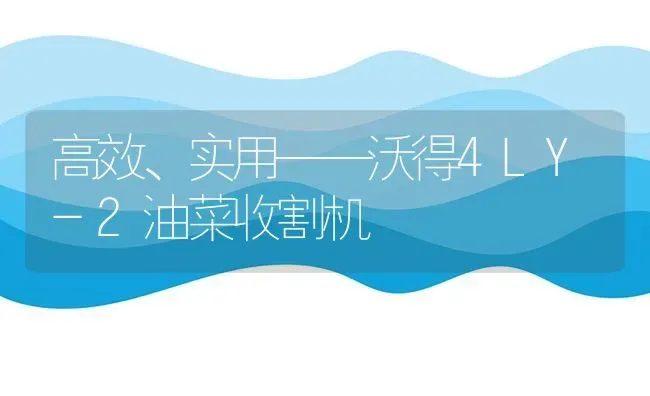 高效、实用——沃得4LY-2油菜收割机 | 粮油作物种植