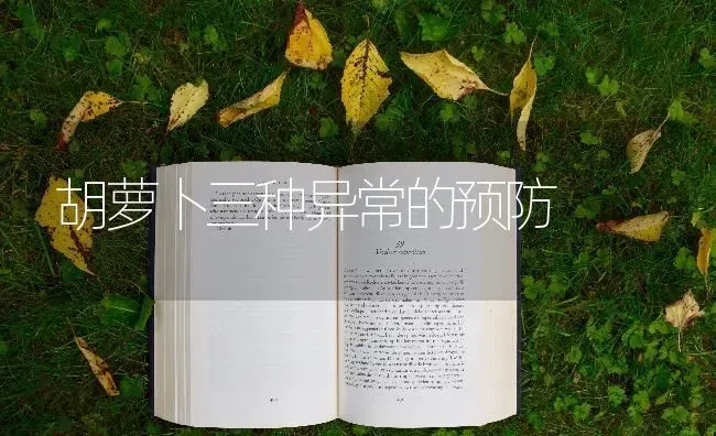 胡萝卜三种异常的预防 | 蔬菜种植