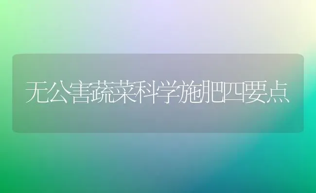 无公害蔬菜科学施肥四要点 | 蔬菜种植