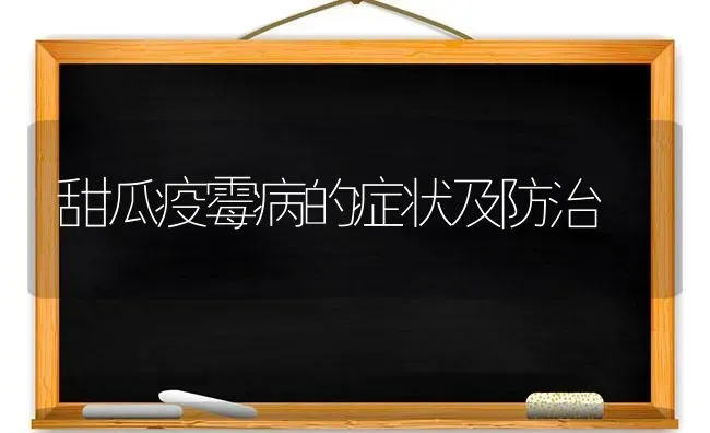 甜瓜疫霉病的症状及防治 | 瓜果种植