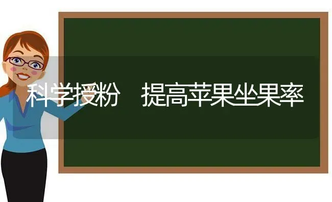 科学授粉 提高苹果坐果率 | 瓜果种植