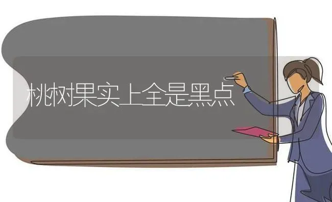 桃树果实上全是黑点 | 瓜果种植